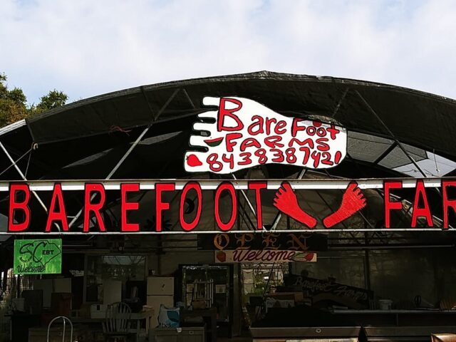 Barefoot Farms